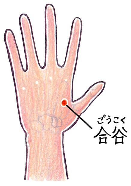 つぼ「合谷(ごうこく)」のイラスト