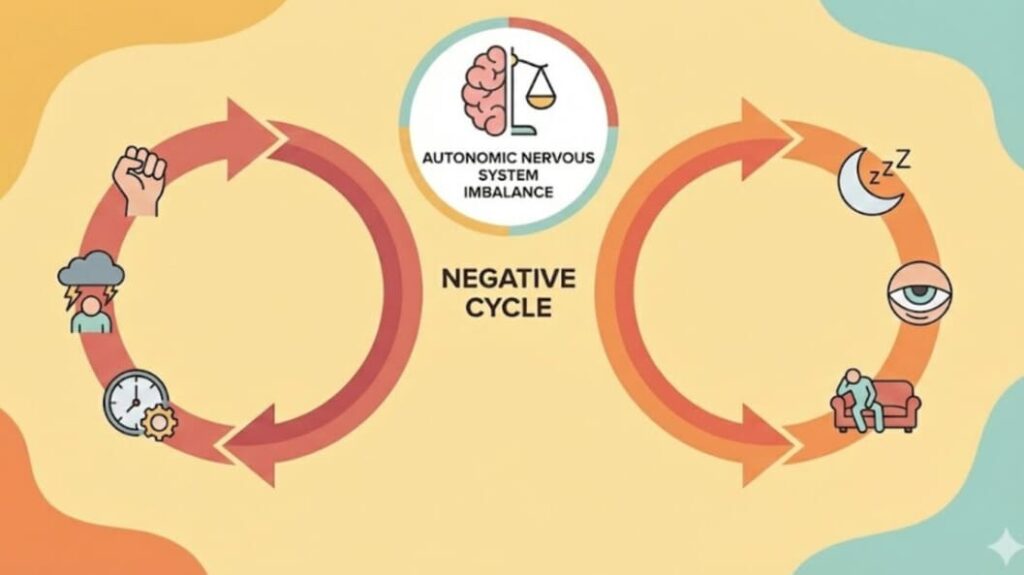 自律神経の乱れによる悪循環のメカニズム図解