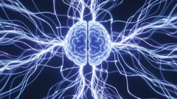 脳と神経系のネットワークを象徴的に表現したイラスト。中央に脳のシルエット、周囲に神経の流れを示す光の筋。自律神経の誤作動メカニズムを視覚化した画像