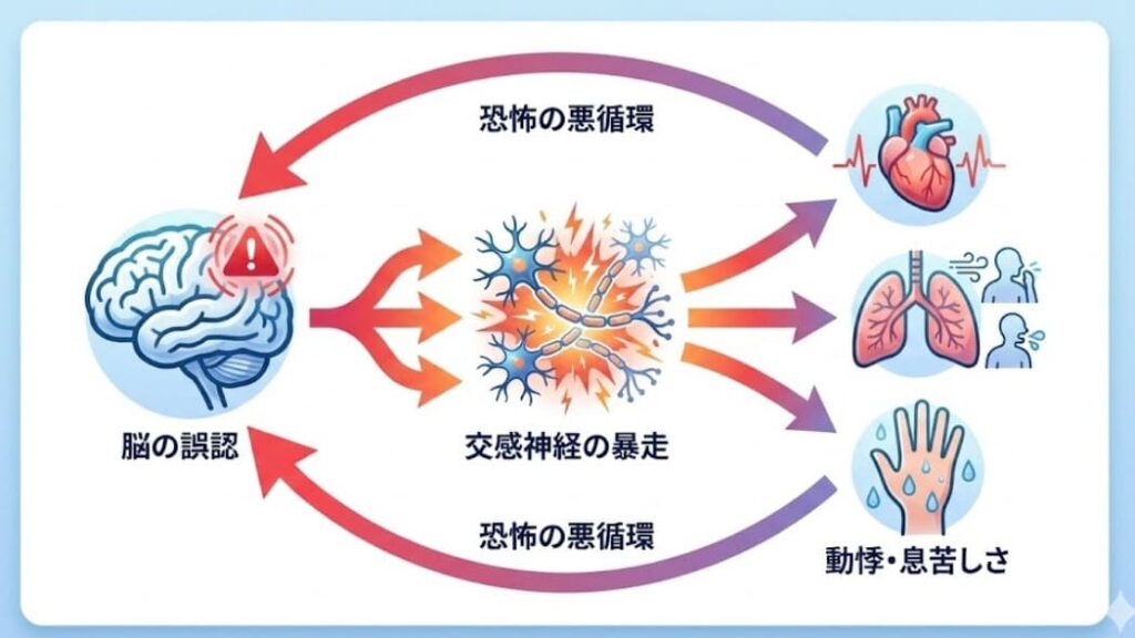 パニック発作が起こる仕組みの図解。脳の誤認から交感神経の暴走、身体症状、そして恐怖の悪循環に至るプロセスを日本語で解説。